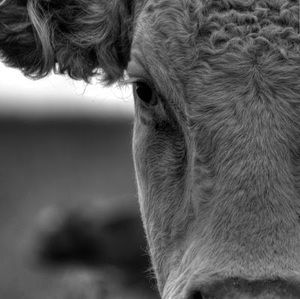 Meet your Posher, Kaylie